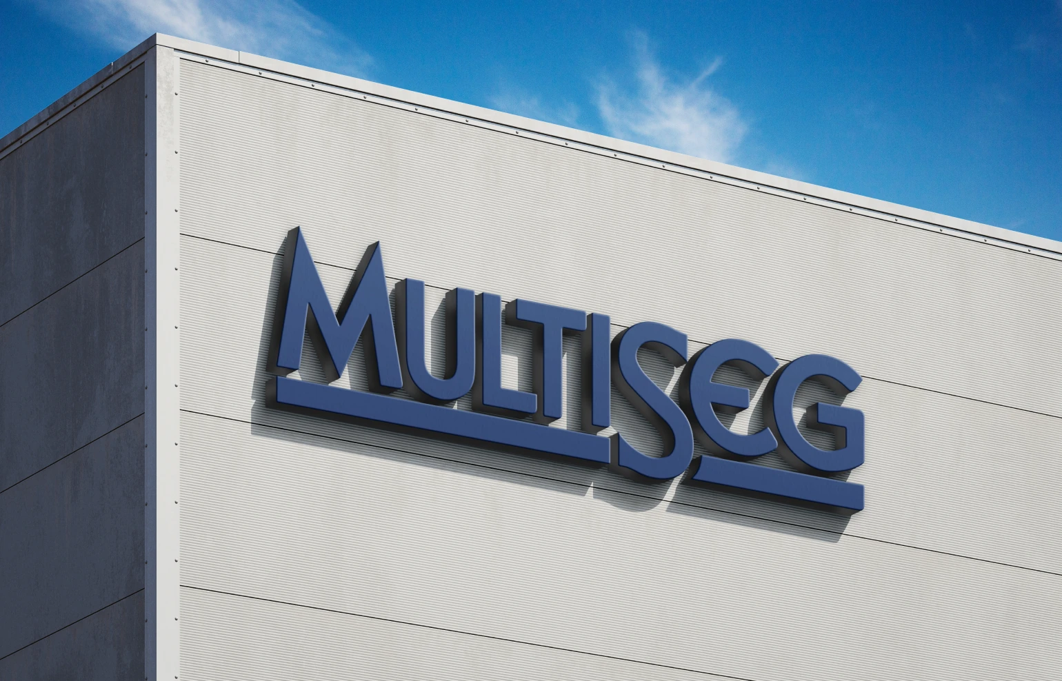 Multiseg